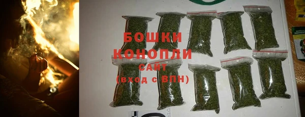 крисы Зерноград