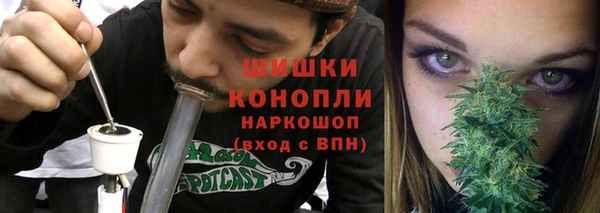 СК Зеленокумск