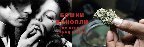 СК Зеленокумск