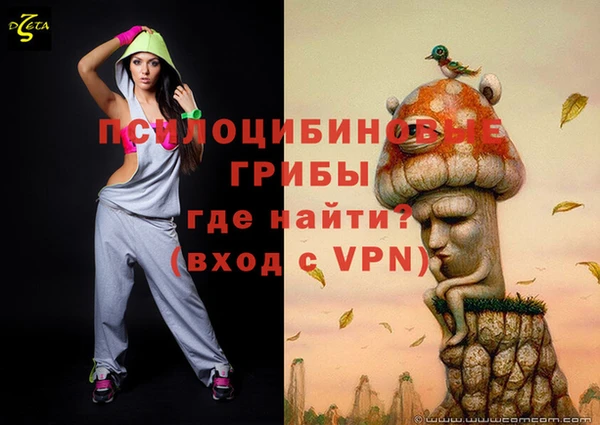 крисы Зерноград