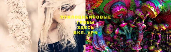 СК Зеленокумск