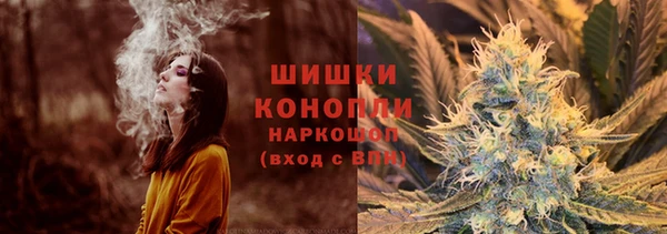крисы Зерноград